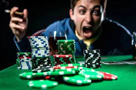 Официальный сайт Casino Wilder